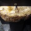 Petrified Wood Yellow - Image 3
