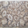 Petrified Wood White Leather Finish - Image 3