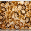 Petrified Wood Yellow - Image 2