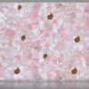 Quartz Pink With Ammonites - Image 2