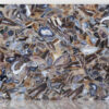 Agate Rubane - Image 2